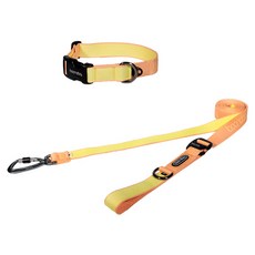 분독 반려동물 플레이 3m20cm 롱리드줄 + 오리지널 목줄 세트, 피치, 1개