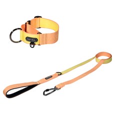 분독 반려동물 오리지널 리쉬 + 마틴게일 와이드 목줄 세트, 피치, 1개