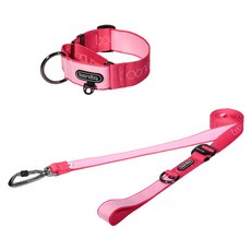 분독 반려동물 플레이 2m50cm 롱리드줄 + 마틴게일 와이드 목줄 세트, 스트로베리, 1개
