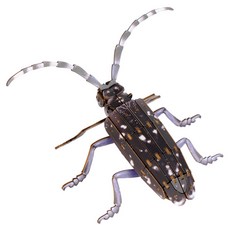 WOODABLE 3D立體拼圖 昆蟲 天牛 PB04, 混合顏色, 1個, 71件