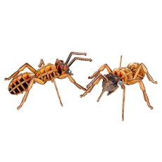 WOODABLE 立體拼圖 昆蟲 螞蟻 PB10, 混合顏色, 1個, 114件