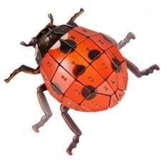 WOODABLE 3D立體拼圖 昆蟲 瓢蟲 PB05, 混合顏色, 1個, 92件