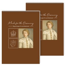 풀컬러즈 전문가용 스케치북 220g, B5, 2개, 20매