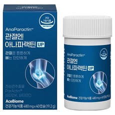 Acebiome 關節專用 Anaparactin UP 19.2g, 40錠, 1個