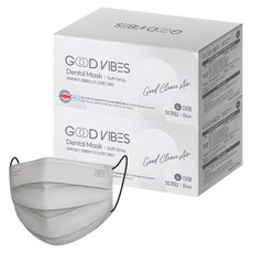 굿바이브스 일회용 덴탈마스크 대형, 소프트그레이, 2개, 50개입