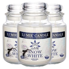 르미에 캔들, 570g, 3개, 스노우화이트