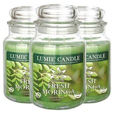 르미에 캔들, 570g, 3개, 후레쉬 모링가