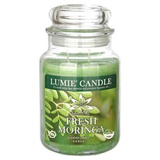 르미에 캔들, 570g, 1개, 후레쉬 모링가