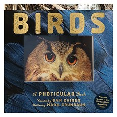Birds:A Photicular Book, Workman Publishing