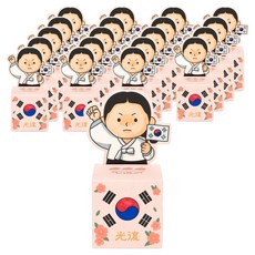 minhwashop 紙製獨立運動家存錢筒製作, 柳寬順, 20個