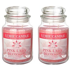 르미에 캔들, 570g, 2개, 핑크레이디 블러썸