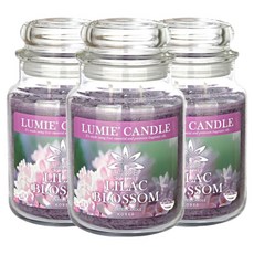 르미에 캔들, 570g, 3개, 라일락 블러썸