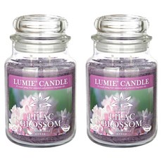 르미에 캔들, 570g, 2개, 라일락 블러썸