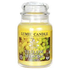 르미에 캔들, 엘로우 미모사, 570g, 1개