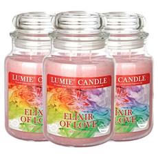 르미에 캔들, 570g, 3개, 엘릭사오브러브