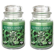 르미에 캔들, 570g, 2개, 세이지 시트러스