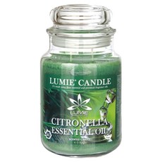 르미에 라지자 캔들, 570g, 1개, 시트로넬라
