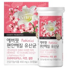에버핏 편안해질 유산균 13.5g, 30정, 1개