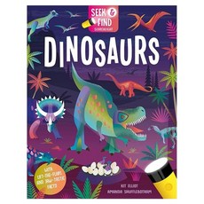 Seek and Find Dinosaurs, Imagine That