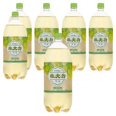 維大力 白葡萄風味汽水, 6個, 2L