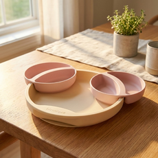 네스틱 빙그르르 플레이트 + 달빛 볼 2p 세트, 핑크, 1세트, 플레이트 + 볼 2p