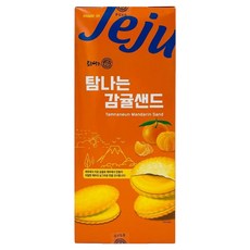 TamNaNeunChocolate 令人垂涎的柑橘夾心餅乾, 224g, 1個