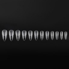 Biantino PARIS 半霧光全覆蓋人造美甲片 25BRS288 12款 x 20p 組 No14, 1套, 透明