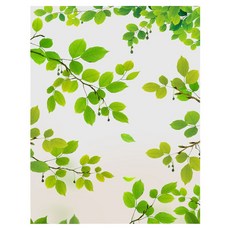 코다치프 PVC 정전식 창호 컬러 사생활 노출 방지 불투명 화장실 욕실 유리 스티커 120cm x 1m, 리프, 1개