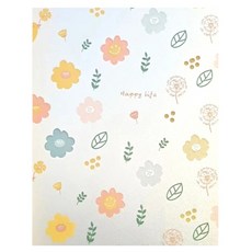 코다치프 PVC 정전식 창호 컬러 사생활 노출 방지 불투명 화장실 욕실 유리 스티커 80cm x 1m, 스프링, 1개