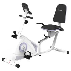 이고진 704R 좌식 실내자전거, BC31573, 화이트 라벤더