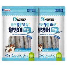 듀먼 반려동물 통통바삭 트릿, 2개, 40g, 열빙어