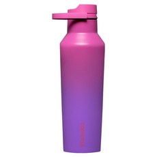 콕시클 스포츠 캔틴 시리즈A 밀폐 보온 보냉병 텀블러, 1개, 600ml, 하이드렌지아