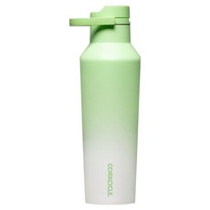 콕시클 스포츠 캔틴 시리즈A 밀폐 보온 보냉병 텀블러, 1개, 600ml, 허니듀