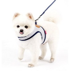 Benny 狗狗簡易舒適胸背帶 + 牽繩套組, 藍色, 1套