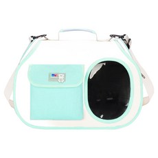 데이소이 반려동물 서브 포켓 파스텔 이동가방, 05 그린, 1개