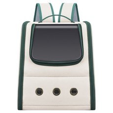 데이소이 반려동물 캔버스 휴대용 이동가방, 07 그린, 1개