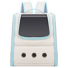 데이소이 반려동물 캔버스 휴대용 이동가방, 06 라이트블루, 1개