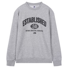 NBA 男女通用大字母印花大學T N261TS954P