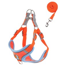 무아즈 강아지 산뜻한 하네스 세트, 오렌지, 1세트