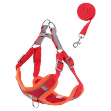 무아즈 강아지 산뜻한 하네스 세트, 레드, 1세트