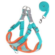 무아즈 강아지 산뜻한 하네스 세트, 블루, 1세트