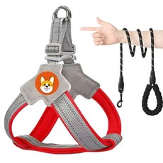 Muaz 狗狗堅固胸背帶 + 2m牽繩套組, 紅色, 1套