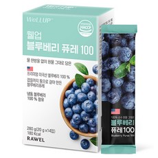 웰업 로엘 블루베리 퓨레 100 14p, 280g, 1개