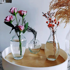 Depsis 室內裝飾桌上玻璃花瓶3件組, 透明