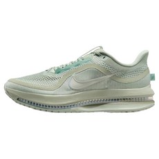 NIKE 耐吉 男款 Pegasus Premium 運動鞋 HQ2592-300