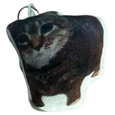 다다랜드 소리나는 웃긴 고양이 인형 키링, 깸둥이, 1개, 6cm