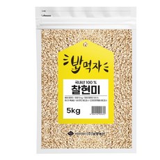 NAMYANG 밥먹자 국내산 찰현미, 5kg, 1개