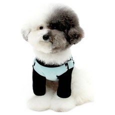 키니키니 반려동물 스마일 체크 반팔티, 민트, 1개