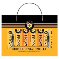 페리오 LG생활건강 프로폴리스 덴탈 케어 세트, 90g, 1세트