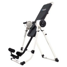 이고진 전동 거꾸리, RT73, 화이트(프레임) + 블랙(등판)